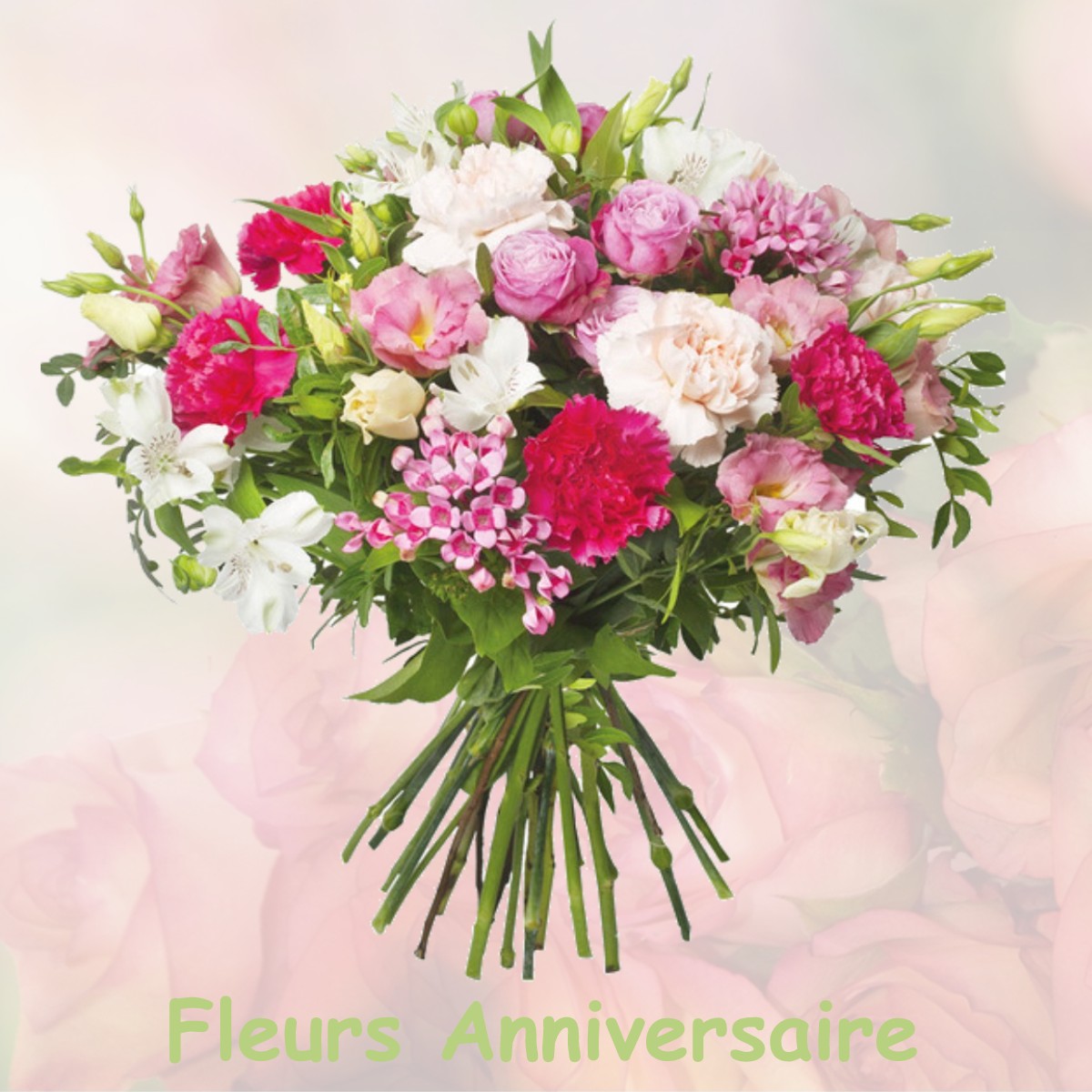 fleurs anniversaire MONTPITOL