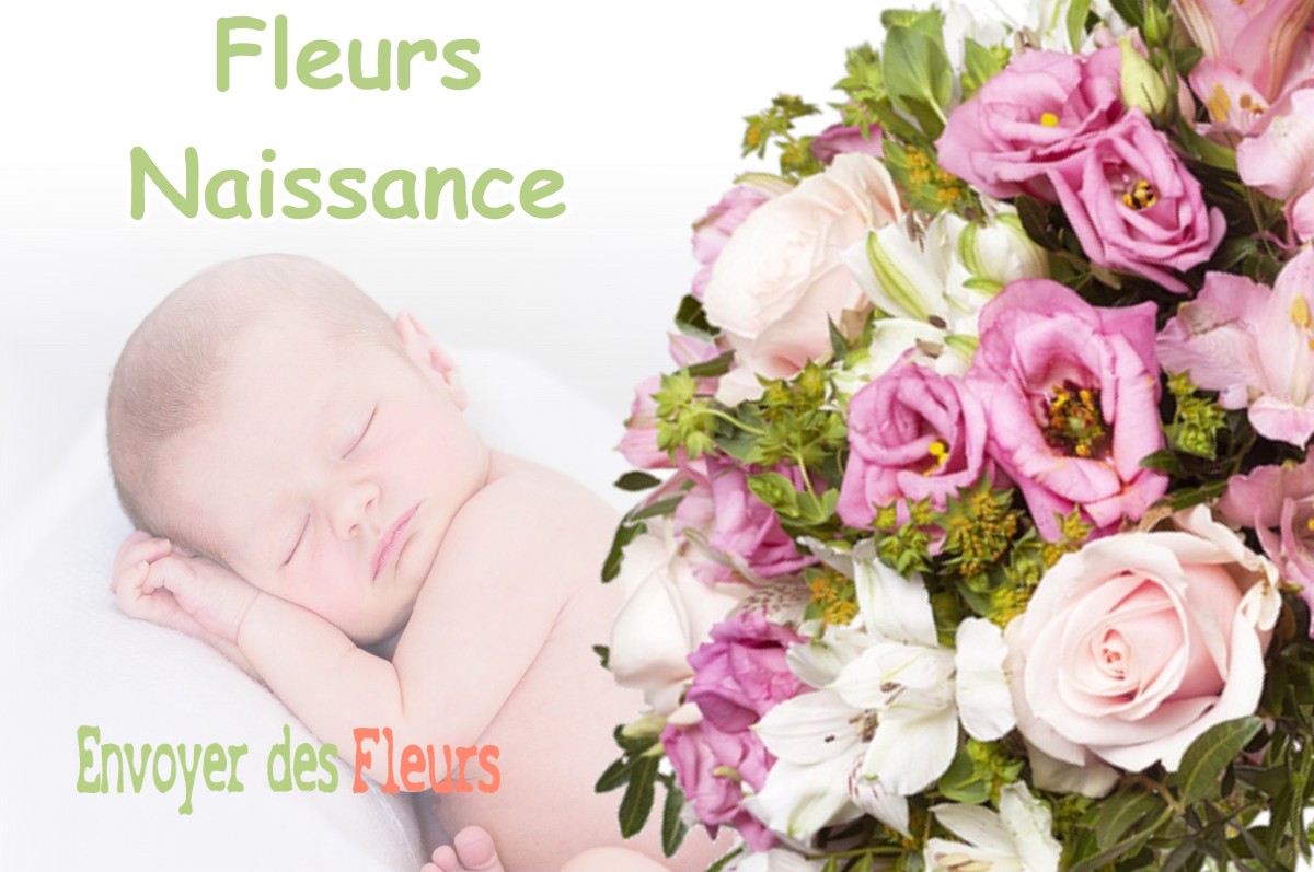 lIVRAISON FLEURS NAISSANCE à MONTPITOL