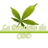 LA BOUTIQUE DU CBD MONTPITOL 